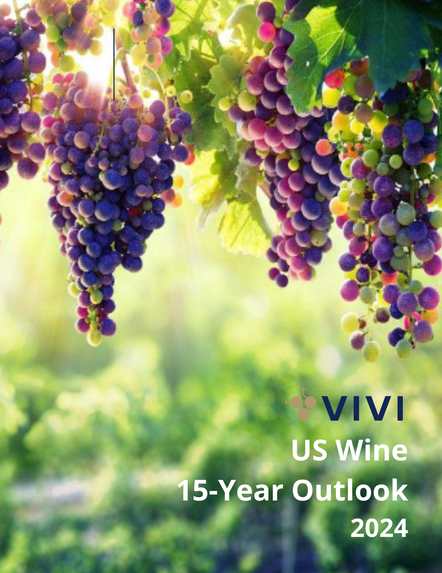 U.S. Wine Industry 10-Year Outlook